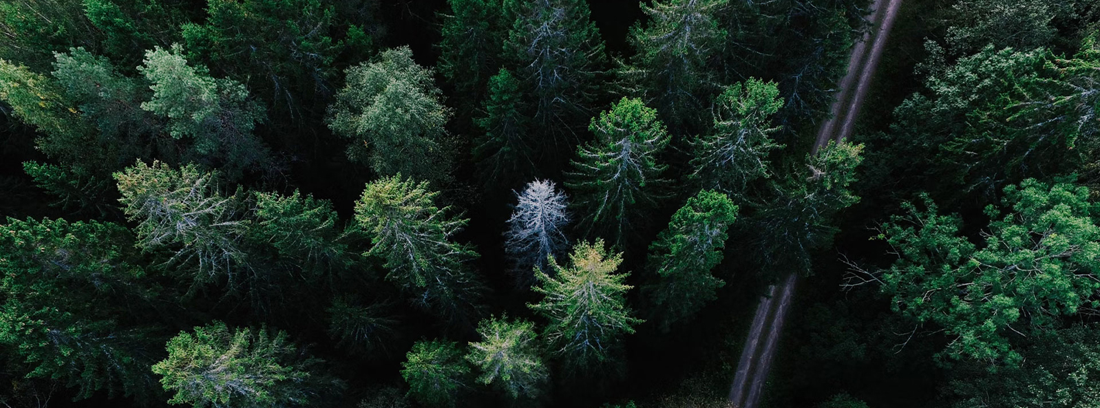 Цзянсу Xiangyi Textile Technology (Group) Co., Ltd.